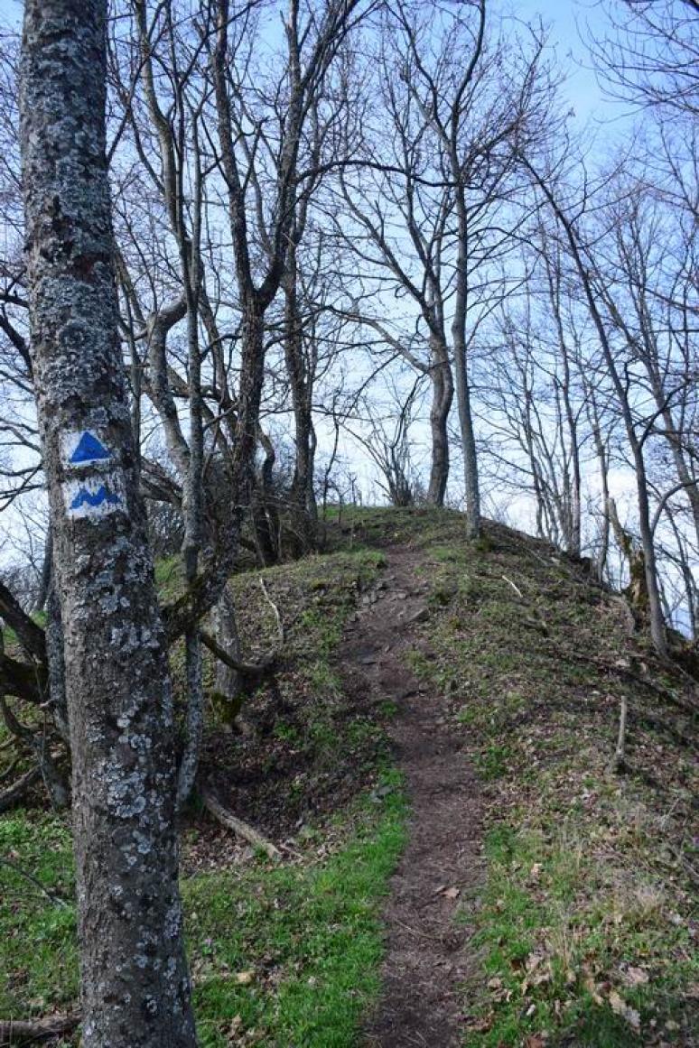 Ágasvár