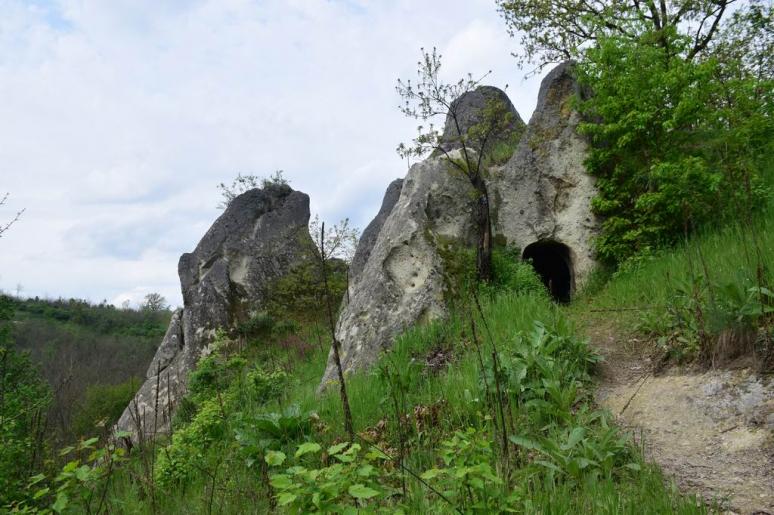 Mész-hegyi kaptárkő