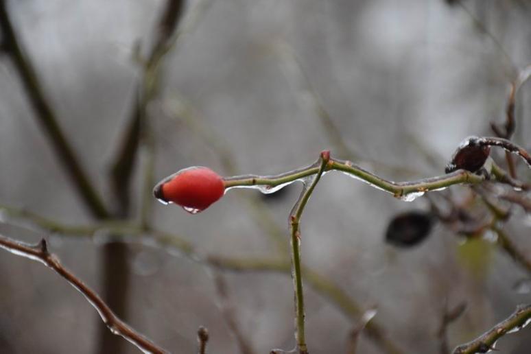 A korábbi ónos eső nyoma