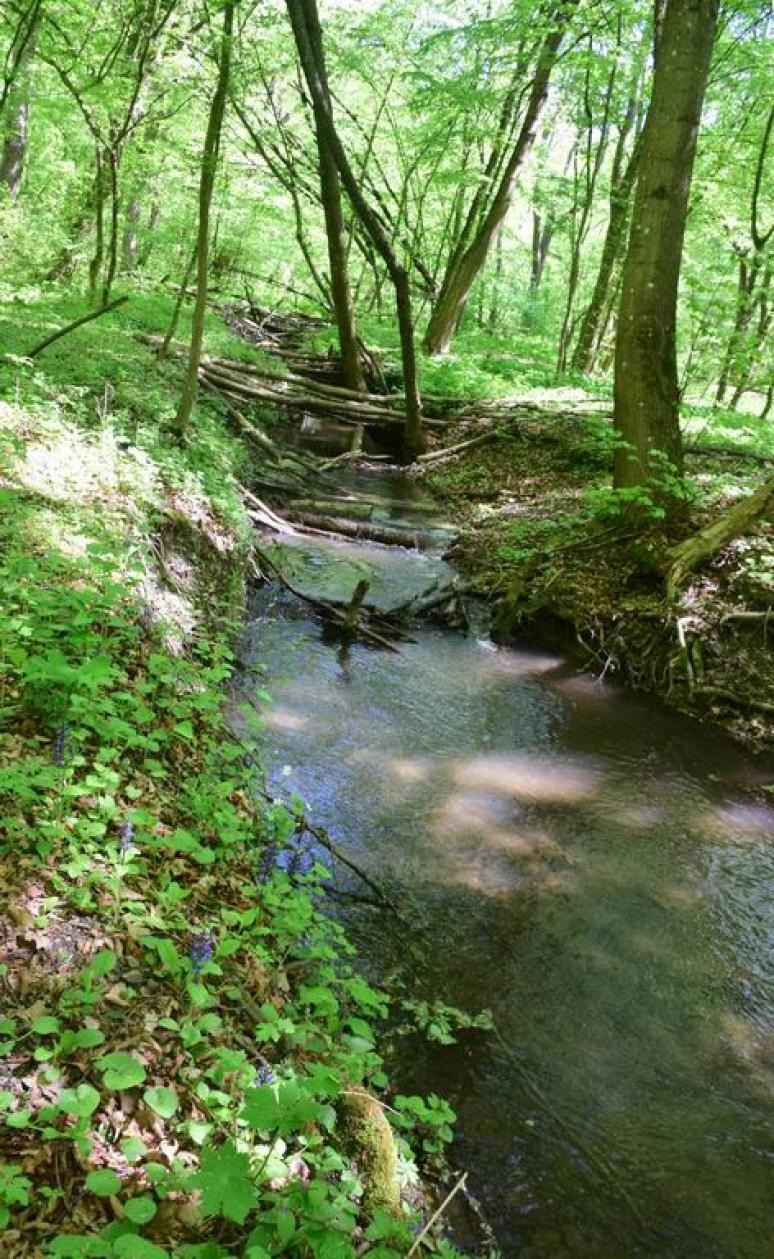 Vöröskő-patak