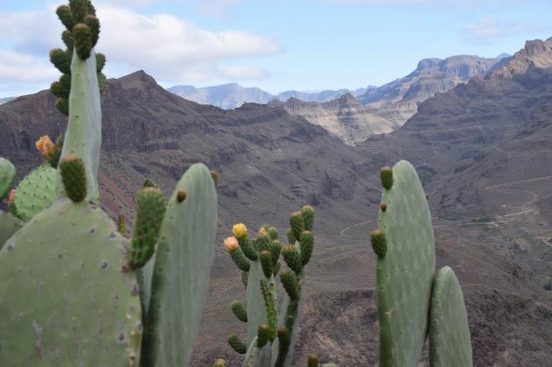 Gran Canaria, Degollada