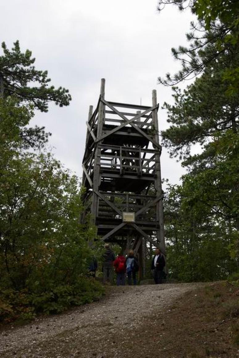 Vonyarcvashegy, Kitaibel-kilátó