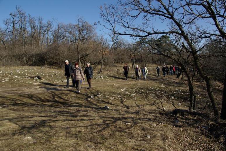 Hársbokor-hegyen