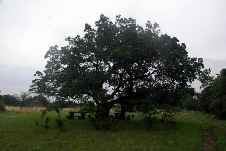 Kőhegyi-pihenő