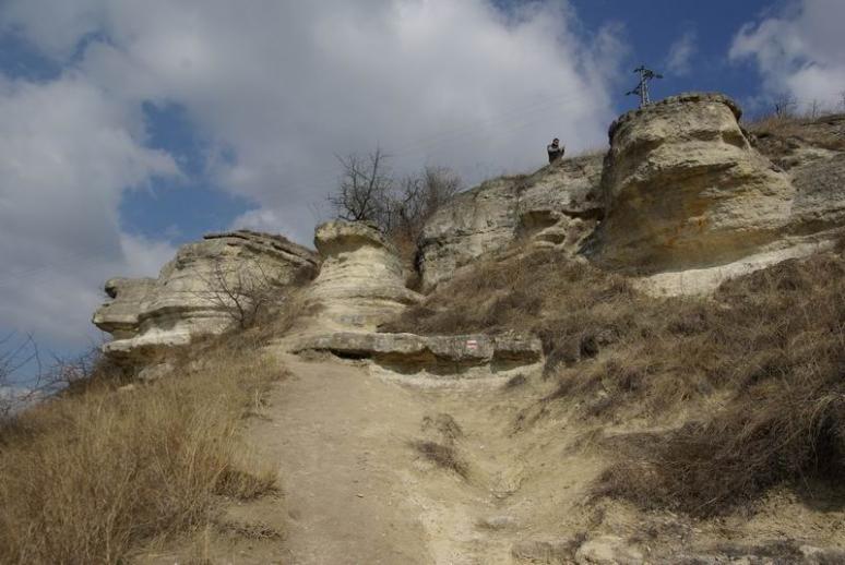 Madár-bérc