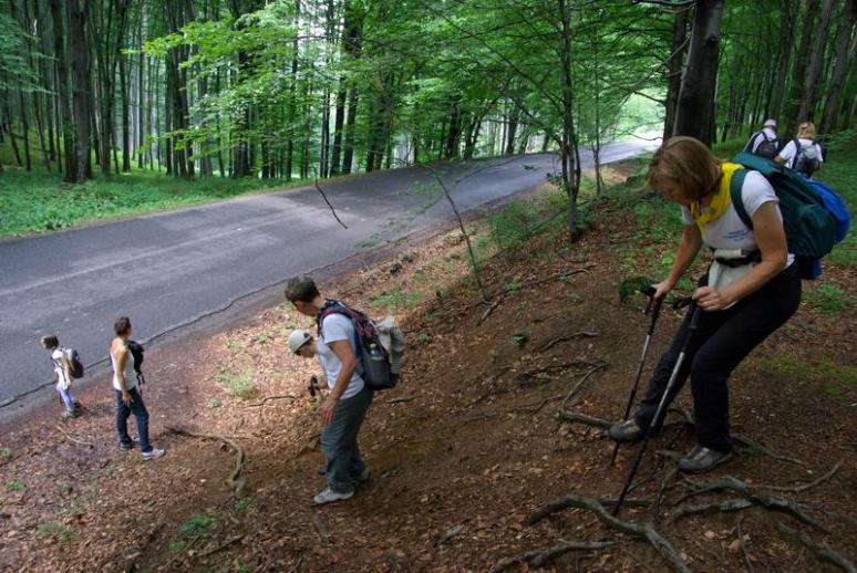 A galyatetői országút előtt