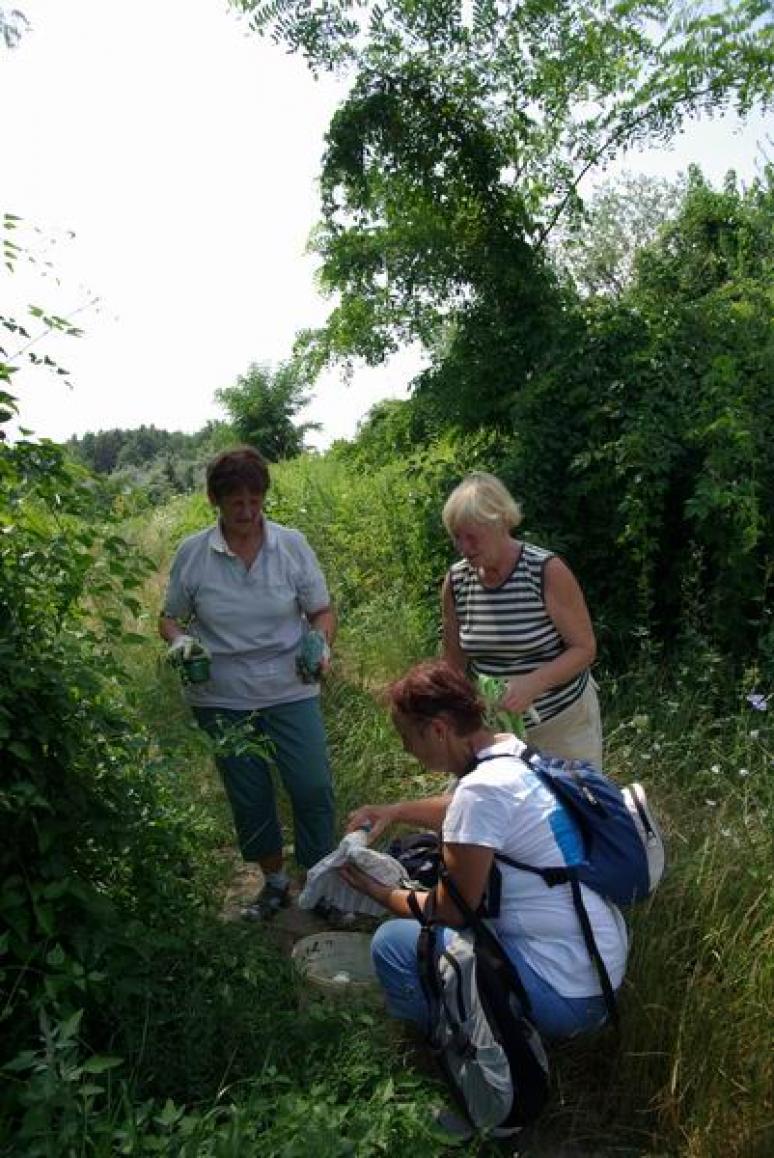 A 3. festőcsoport