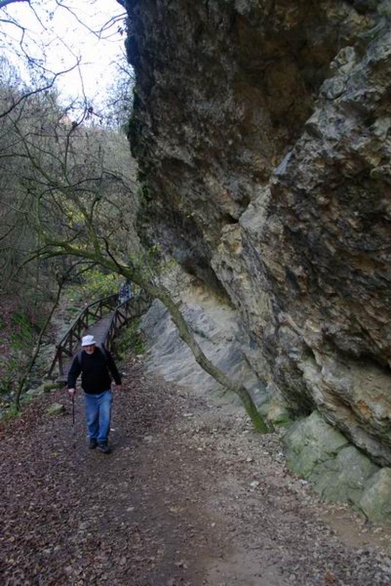 Dachsteini mészkőfal