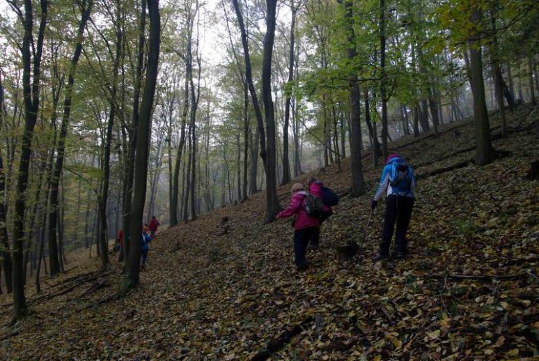 Oldalazva a Lepence-völgyben