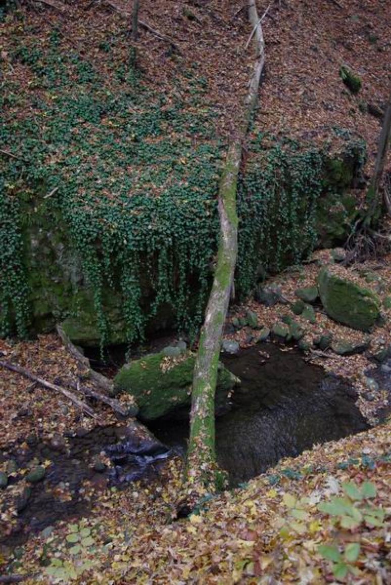 Borostyán-függöny