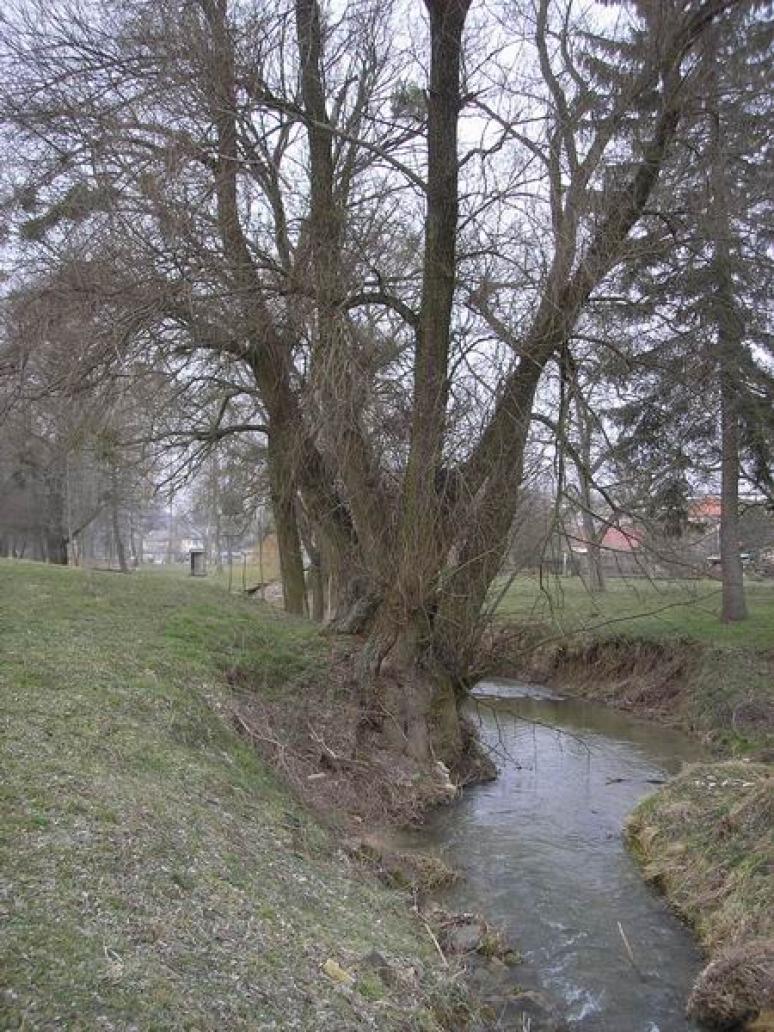 Tarna-patak Városlődön