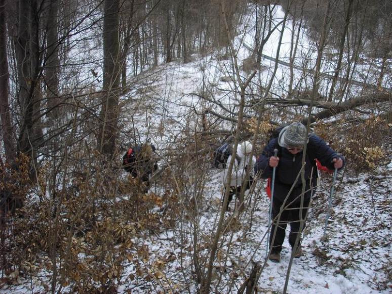 Utolsó kapaszkodó Kőris-hegy előtt