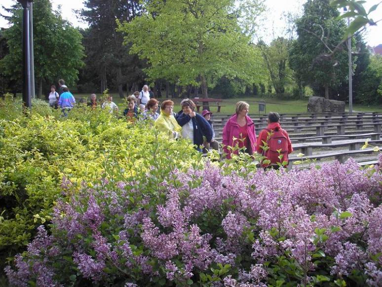 Lábatlan, Gerenday-arborétum