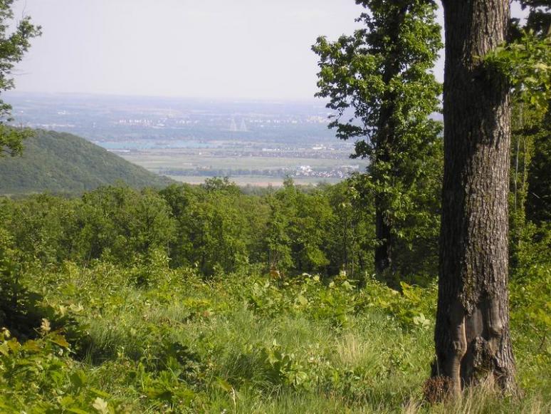 Kilátás a Kármán-forrás után