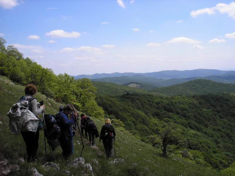 Karrmezőn