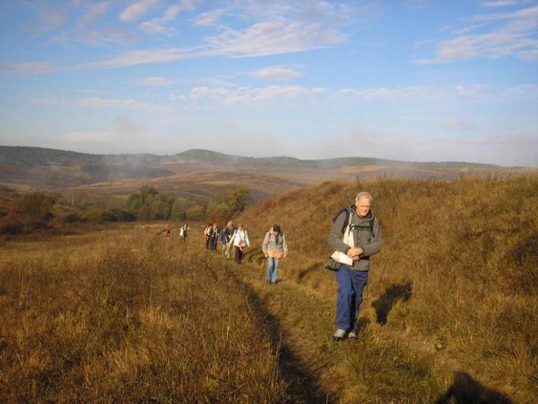 Karu-fészke-tető