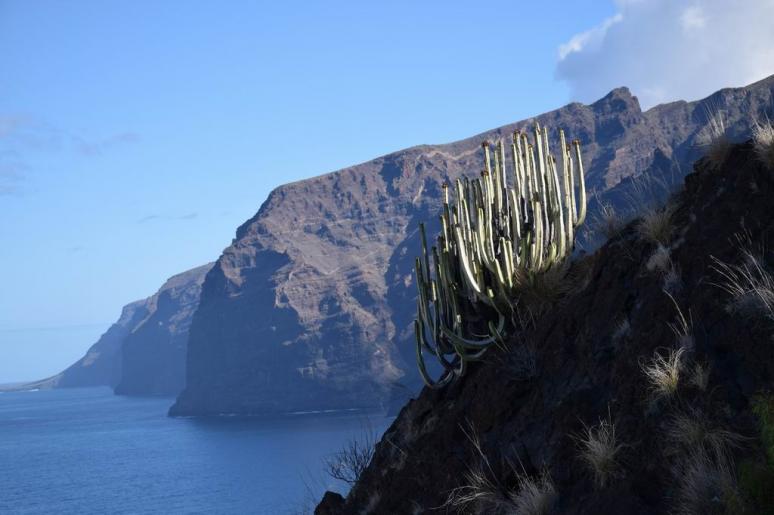 Tenerife, Los Gigantes