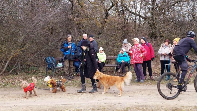 Csúcsforgalom (röv. túra, H.J.)